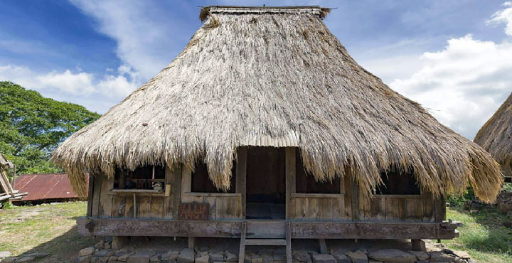 Rumah Adat Musalaki