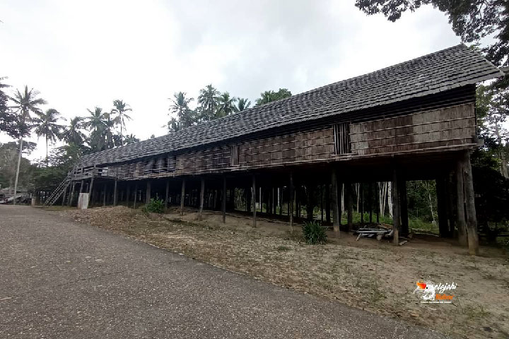 Rumah Adat Lamin: Sejarah, Fungsi, Keunikan dan Filosofinya