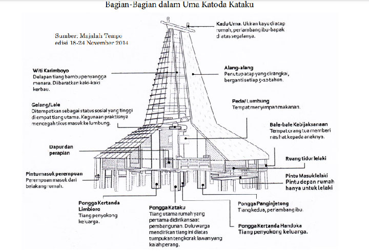 sketsa arsitektur rumah adat suku sumba