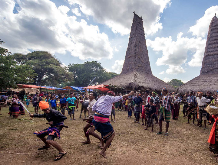 ritual pembangunan rumah adat suku sumba