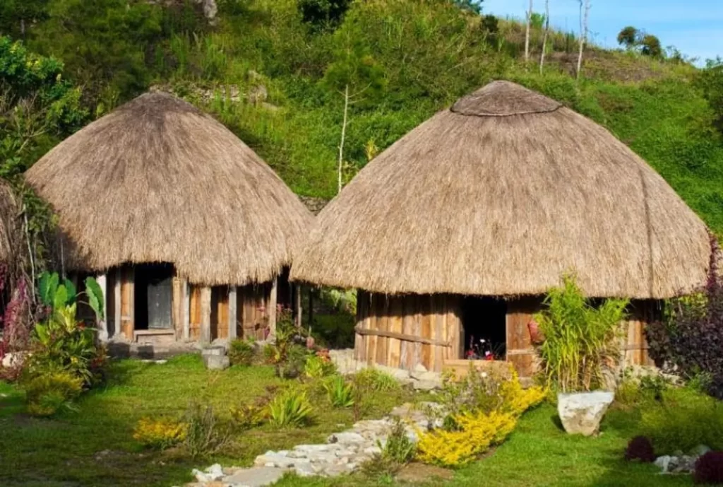 rumah honai papua pegunungan