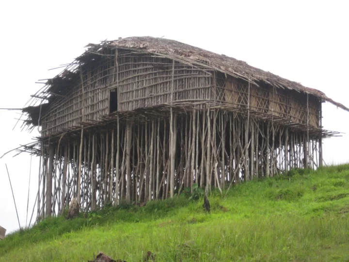 bentuk rumah kaki seribu papua barat