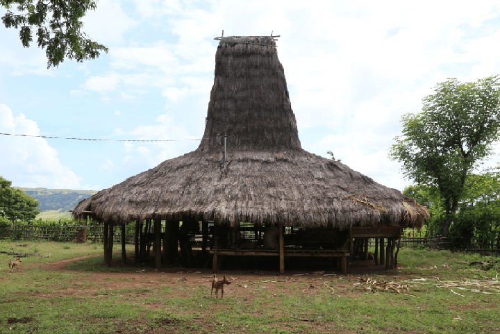 gambar Rumah adat Sao Ata Mosa Lakitana