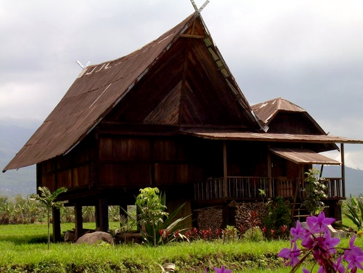 rumah adat palembang