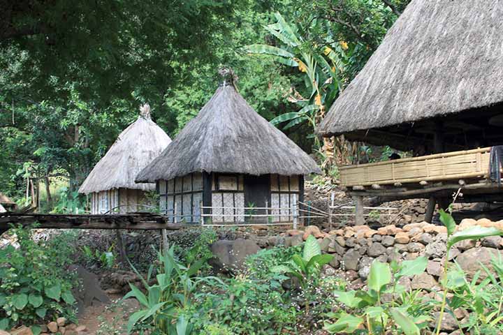 rumah lopo