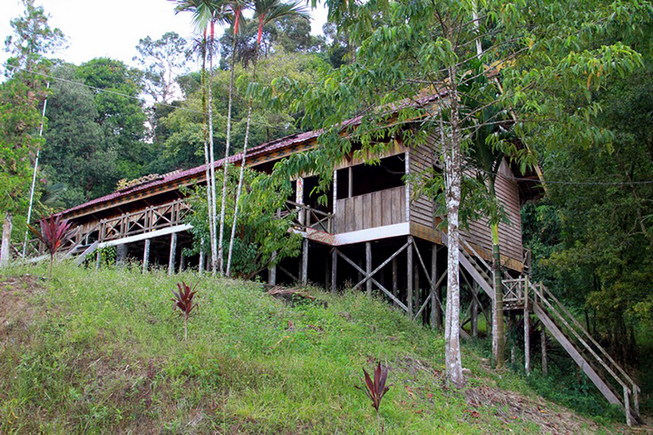 Gambar rumah adat Bentang Samalantan kalimantan barat