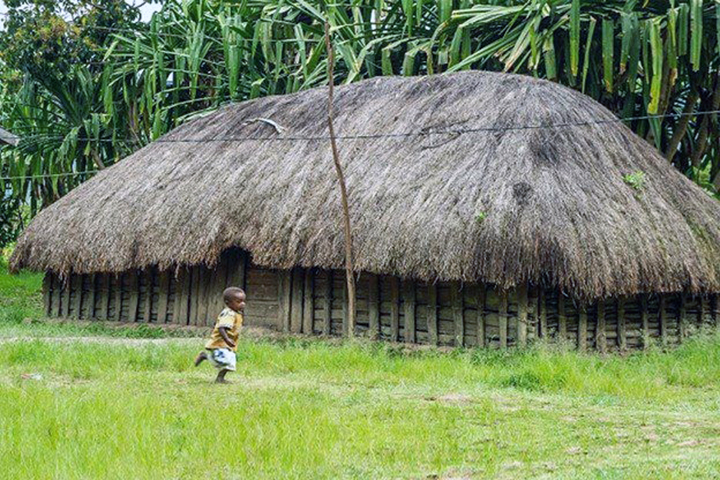 gambar rumah hunila papua