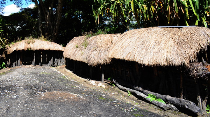 gambar rumah hunila papua