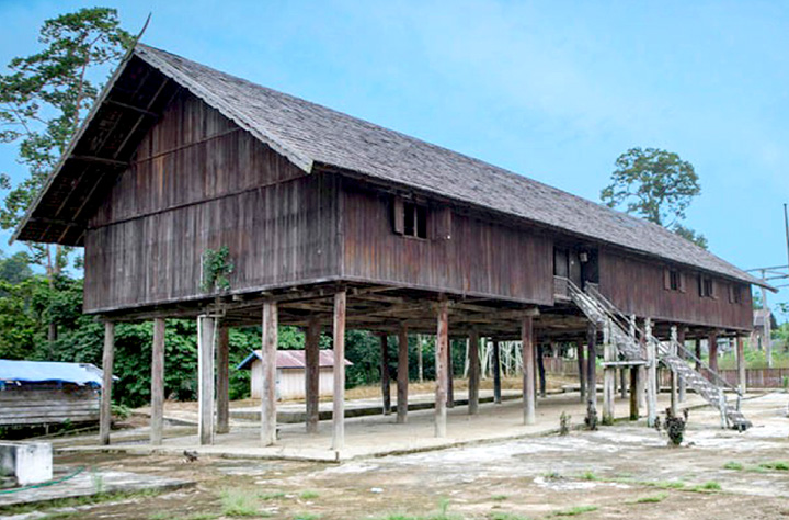 Rumah adat Betang Damang Batu