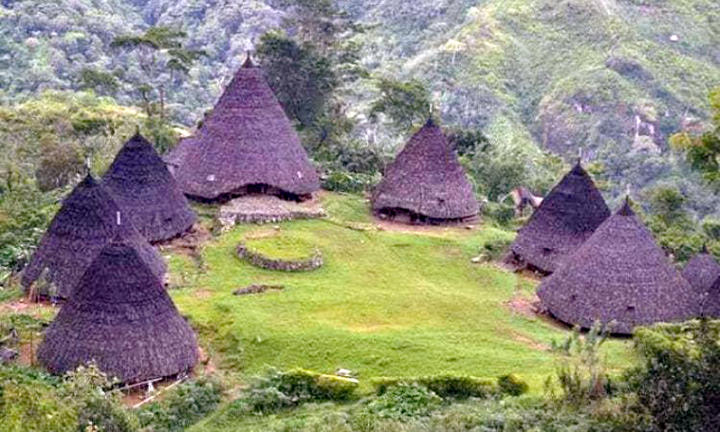 filosofi rumah adat kariwari papua