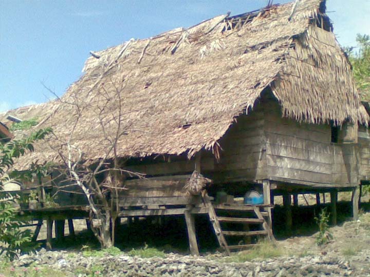 rumah adat maluku im